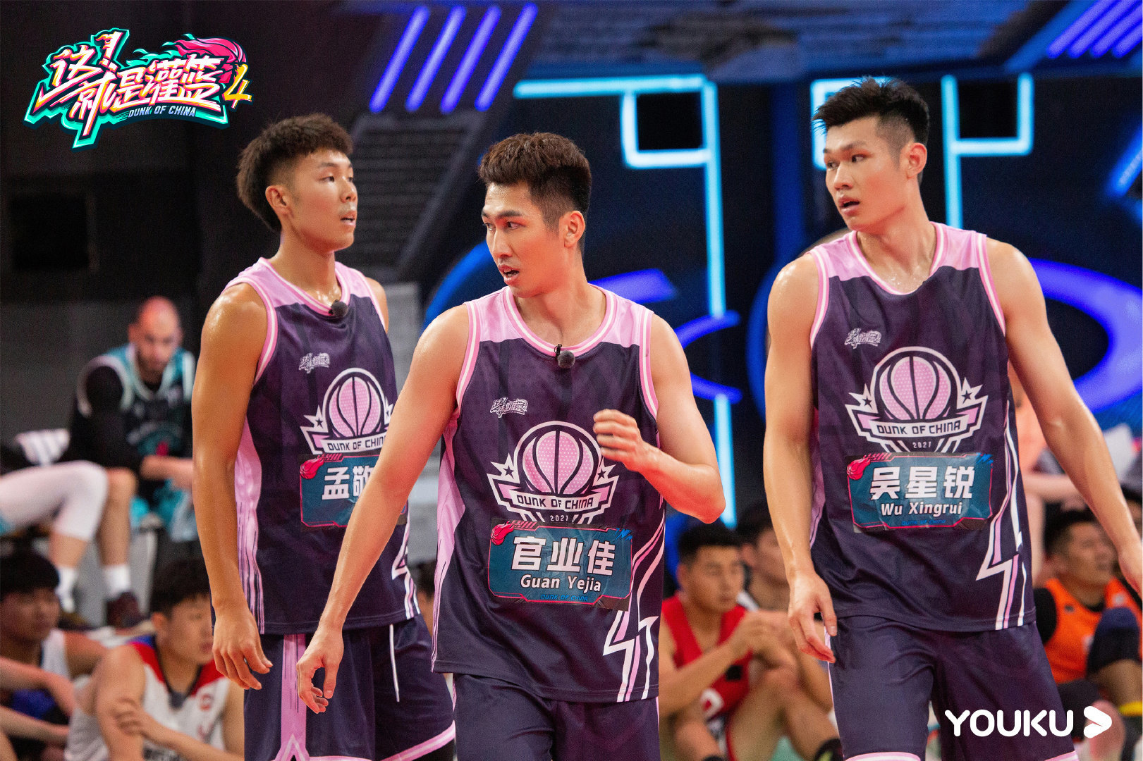 关于职业篮球赛季拉开帷幕，嘉宾云集的信息